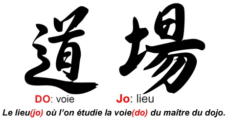  Démonstration d'Aïkido traditionnel par le professeur Julien Bernard au dojo de Toulouse Saint-Sernin